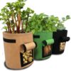 3 Pack Potato Grow Bag, 7 Gallon Aeration Waterproof Fabric Sweet Potato Planter, Harvest Window Vegetable Peanut Growing Box Bucket Pot for Nursery Garden (3 Pack, Black Brown Green)